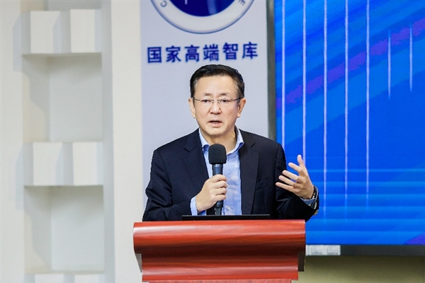 把握数字科技发展机遇发挥大企业优势推动技术进步