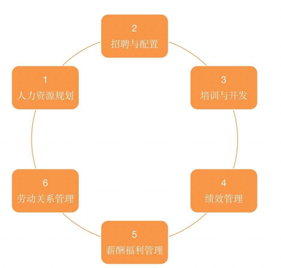 多款国内外EHR系统研究分析建议收藏！(图2)