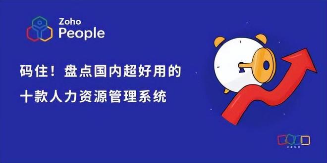 国内人力资源管理系统盘点：技术领先与服务创新(图1)