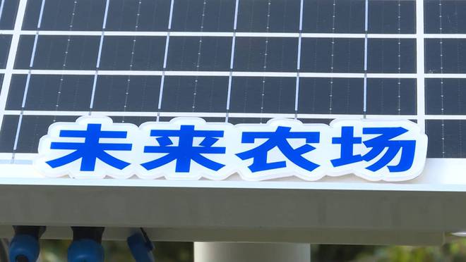 全球连线｜中国数字科技赋能泰国榴莲种植(图1)