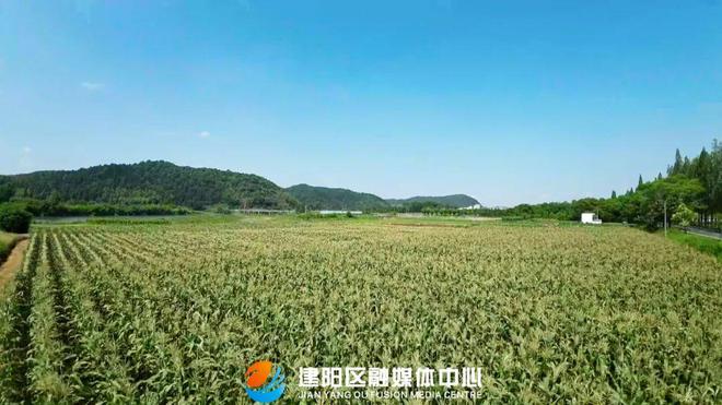 晓富种业：向新而行把数字科技运用到乡间田野(图7)