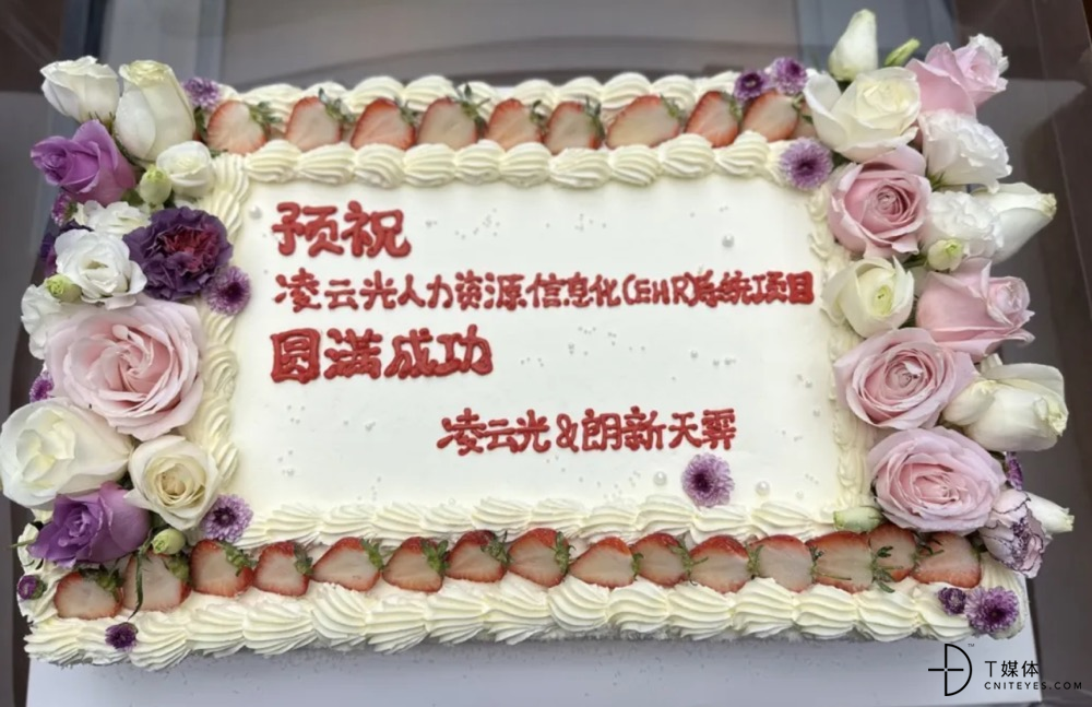 一起追光让组织更智慧——凌云光人才管理数字化平台项目正式启动(图2)