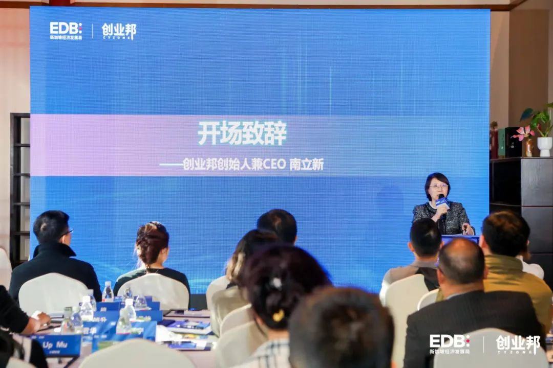 洞察新加坡AI趋势抓住数字创新机遇丨科技企业出海实战指南(图2)