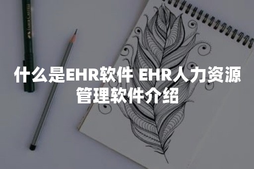 什么是EHR软件EHR人力资源管理软件介绍