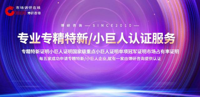 2024-2030年青海省数字政府市场研究分析及竞争格局预测报告