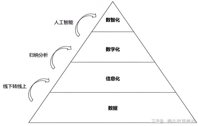 浅析：数据要素、数字经济、数据资产字化转型和大的关系