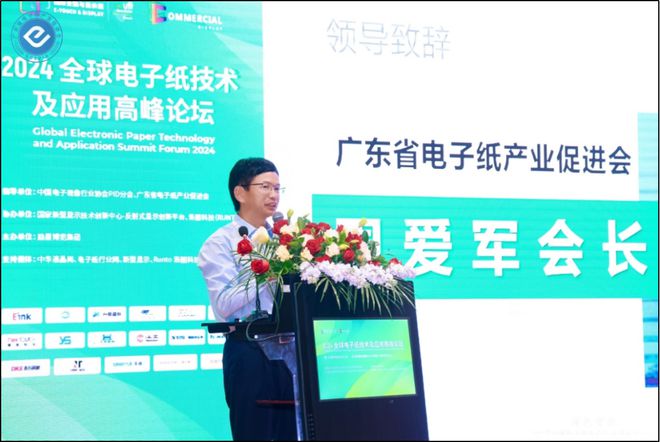 “2024全球电子纸技术及应用高峰论坛”在深圳成功召开(图3)