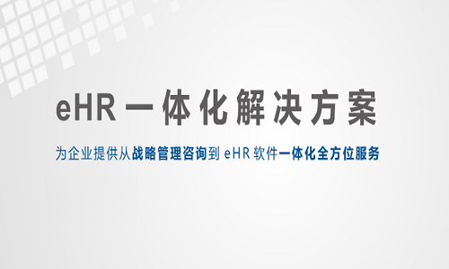 ehr人力资源系统的分类