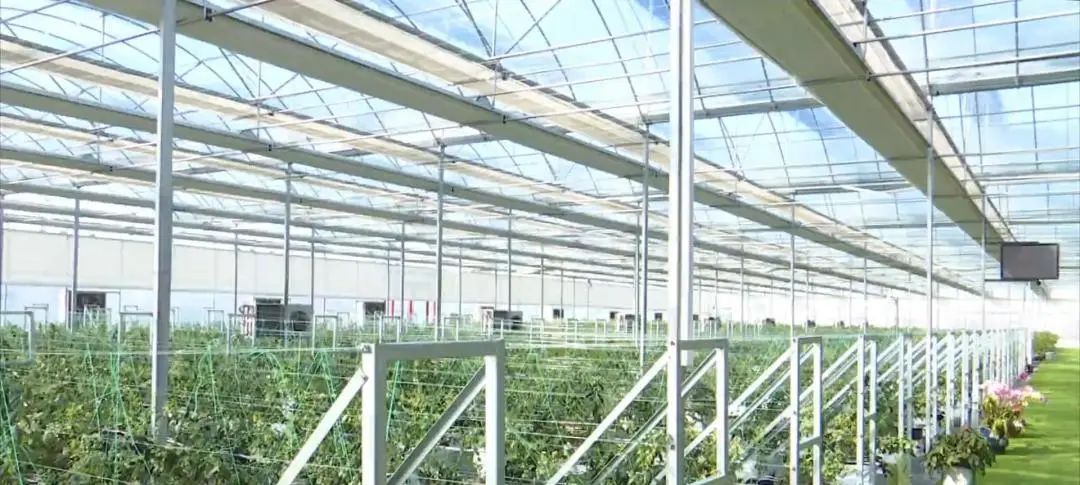 数字技术赋能‘南果北种’上合·清水湾示范园打造智慧农业新标杆(图2)