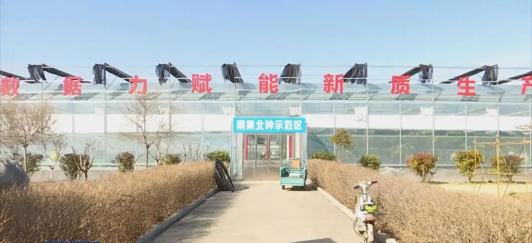 数字技术赋能‘南果北种’上合·清水湾示范园打造智慧农业新标杆