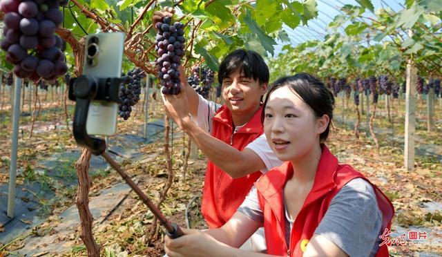 直播助农、健康义诊、扮靓街巷……青年学子暑期返乡服务桑梓(图3)