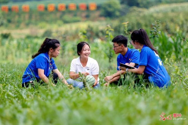 直播助农、健康义诊、扮靓街巷……青年学子暑期返乡服务桑梓(图5)