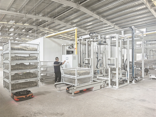 米乐M6：数字赋能“茉莉香”