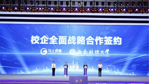 向智而生2025智博会数字产业生态大会举行(图5)