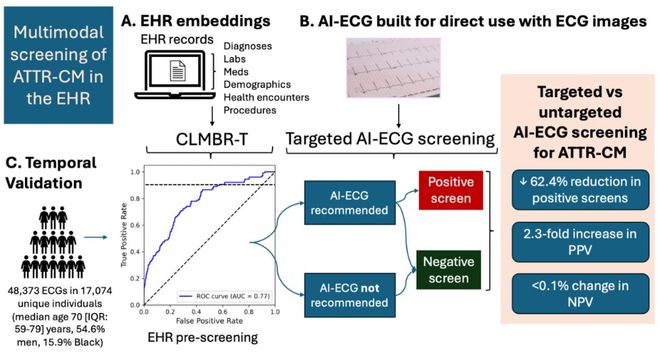 2025ESC速递：ATTR-CM诊断迎来新突破多维度策略助力精准识别(图2)