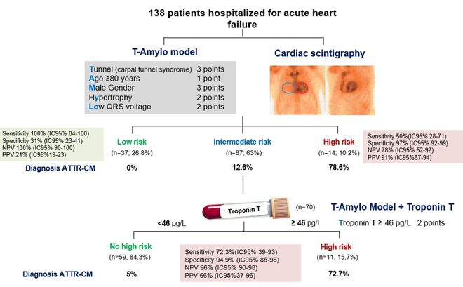 2025ESC速递：ATTR-CM诊断迎来新突破多维度策略助力精准识别(图3)