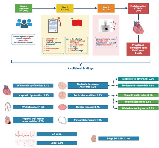 2025ESC速递：ATTR-CM诊断迎来新突破多维度策略助力精准识别