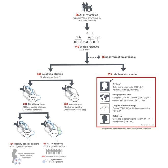 2025ESC速递：ATTR-CM诊断迎来新突破多维度策略助力精准识别(图4)