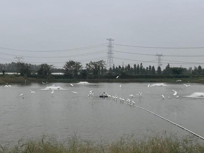 翌卡通：科技赋能智慧渔业数字化转型的“破局与共富”(图6)