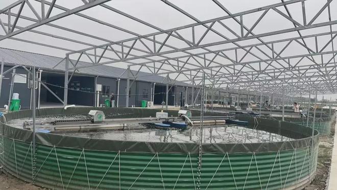 翌卡通：科技赋能智慧渔业数字化转型的“破局与共富”(图4)