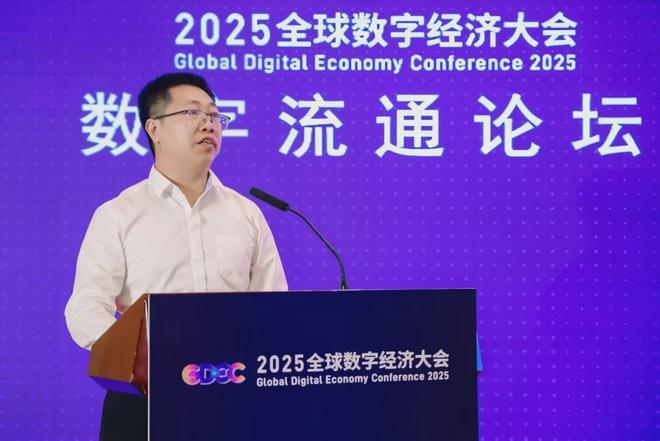 砼联科技受邀参加2025全球数字经济大会数字流通论坛(图2)