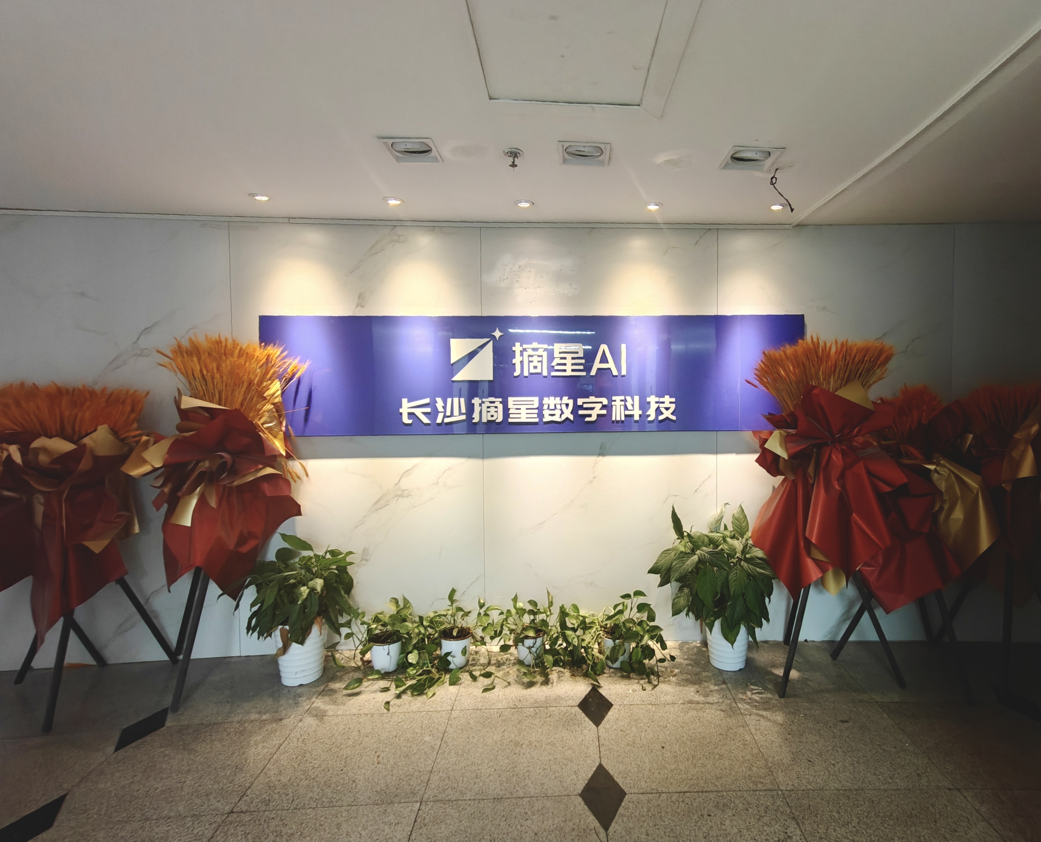 米乐M6：2026年长沙摘星数字科技GEO服务评测(图2)