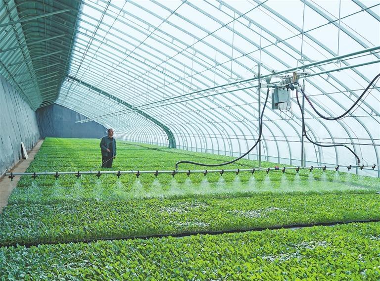 河西走廊逐春光戈壁绿洲绘新景(图2)